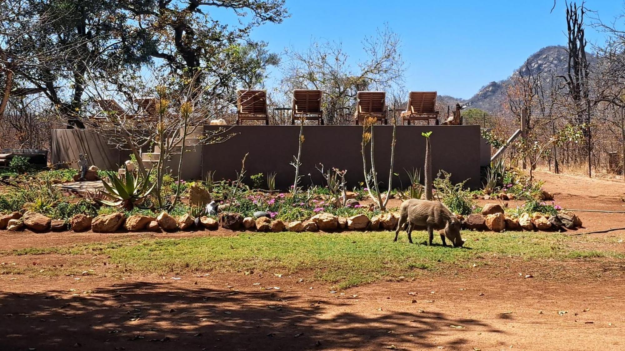 Hotel Ngalali Retreat Grietjie Game Reserve Exterior foto